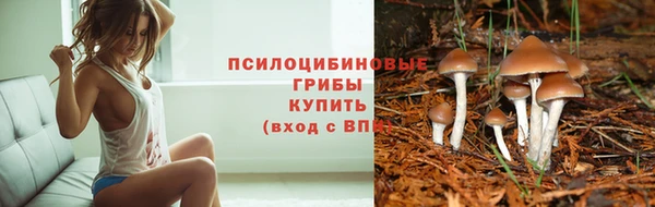 гашиш Абинск
