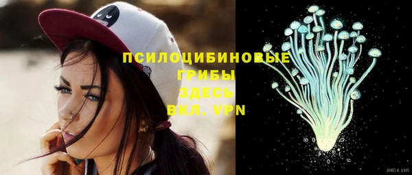 тгк Абаза